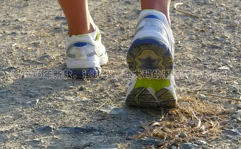 KS凯时·(中国)集团