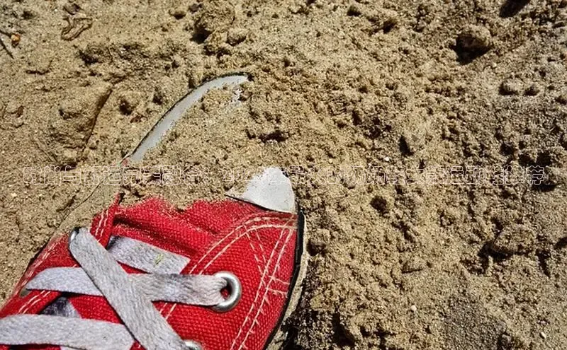 Z6·尊龙(官方认证)网站